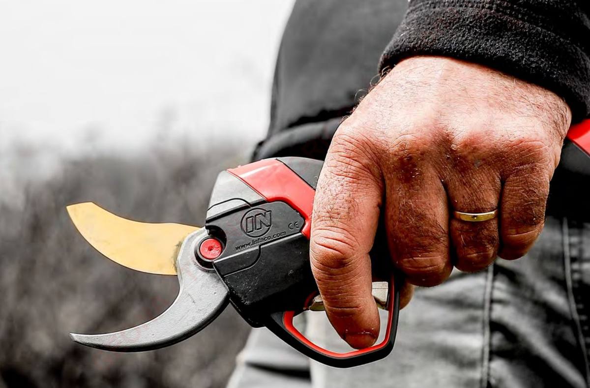 Viticultor cu foarfeca electrică INFACO F3020 în mână